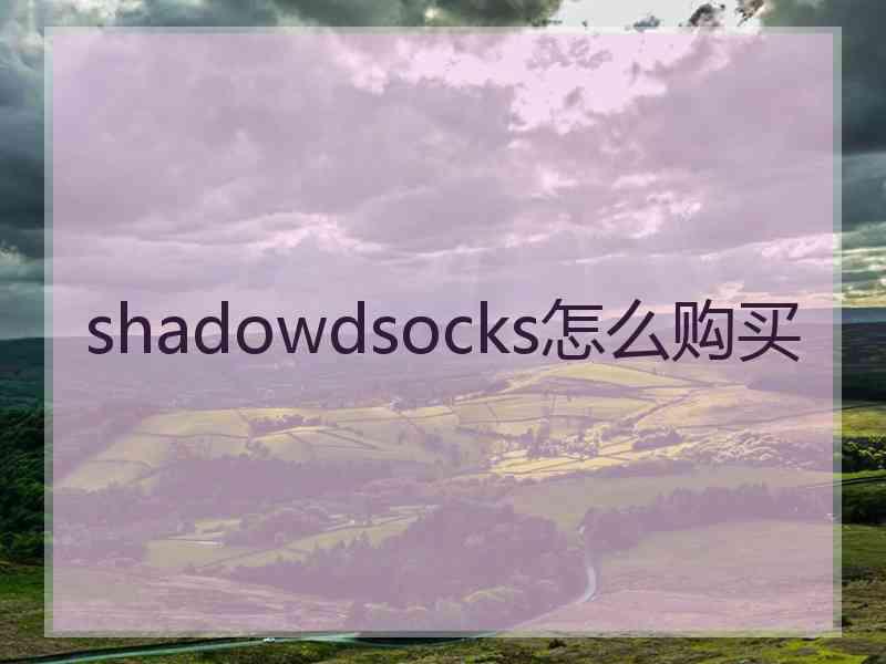 shadowdsocks怎么购买