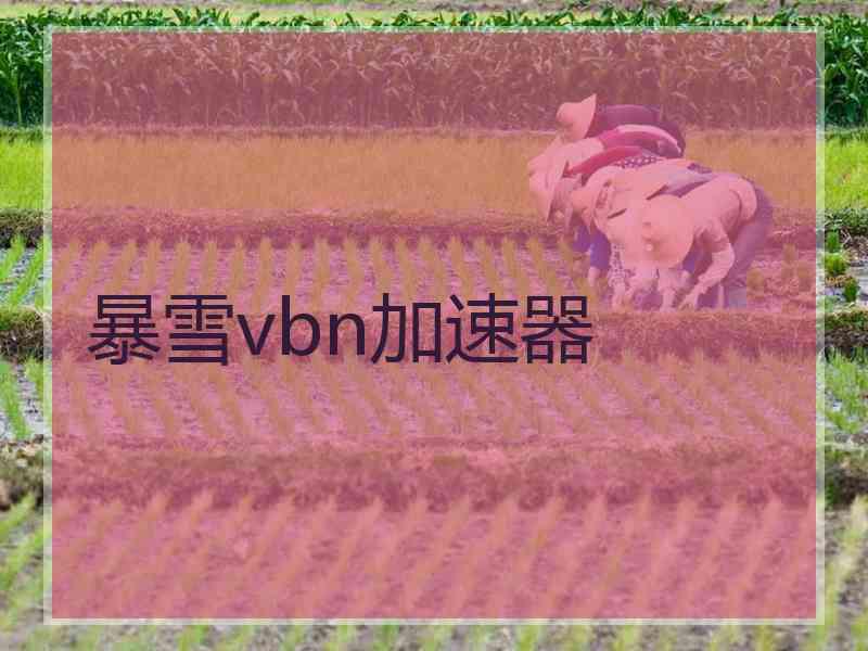 暴雪vbn加速器