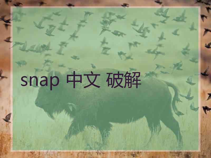 snap 中文 破解