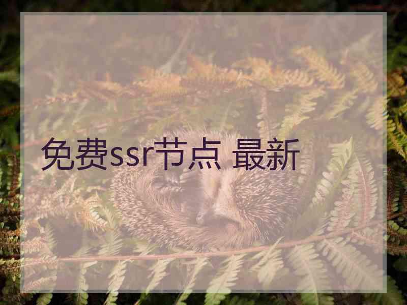 免费ssr节点 最新