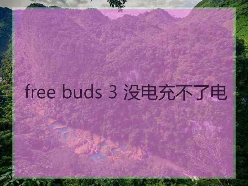 free buds 3 没电充不了电