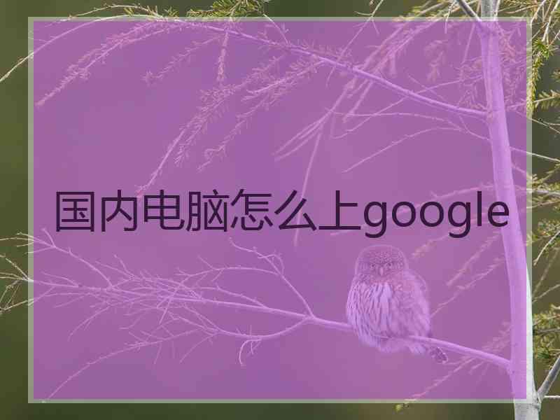 国内电脑怎么上google