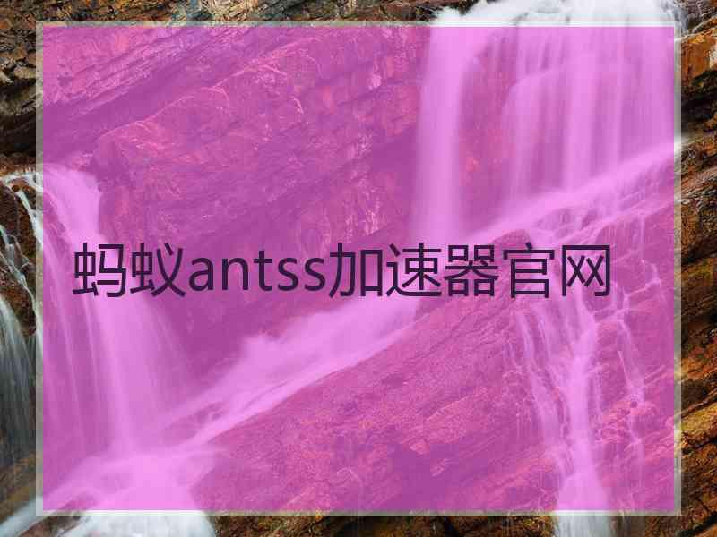 蚂蚁antss加速器官网