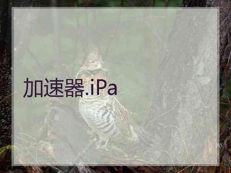 加速器.iPa