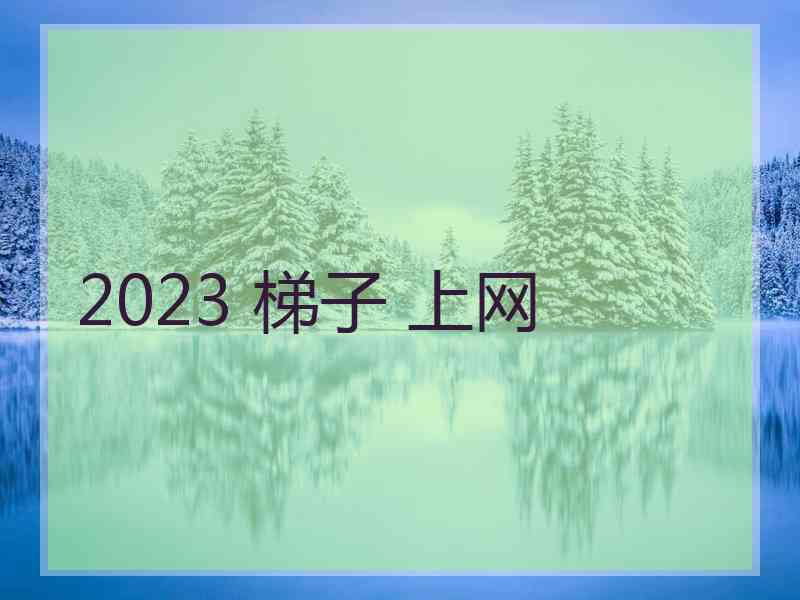 2023 梯子 上网