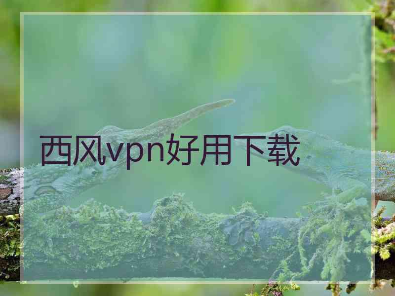 西风vpn好用下载