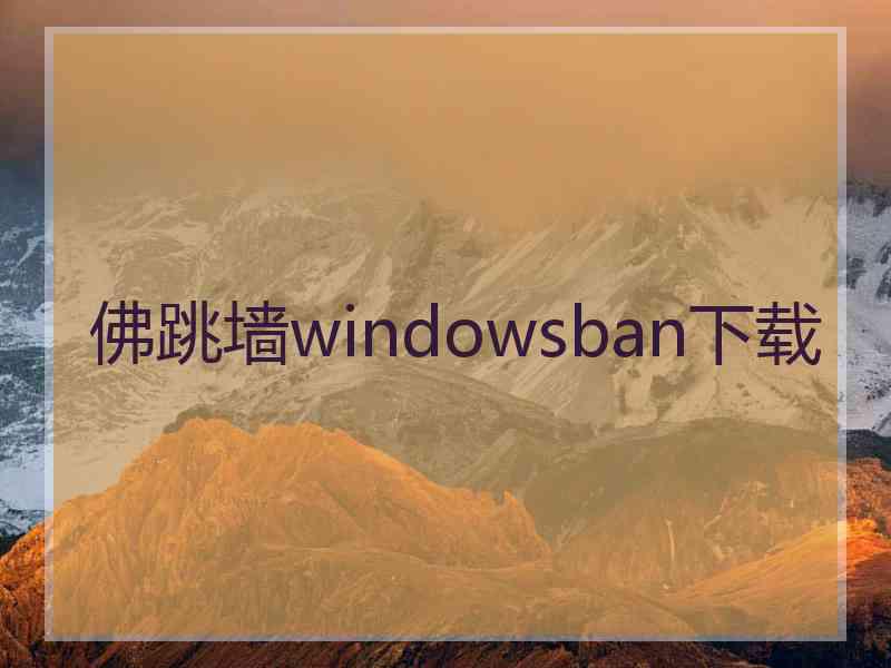 佛跳墙windowsban下载