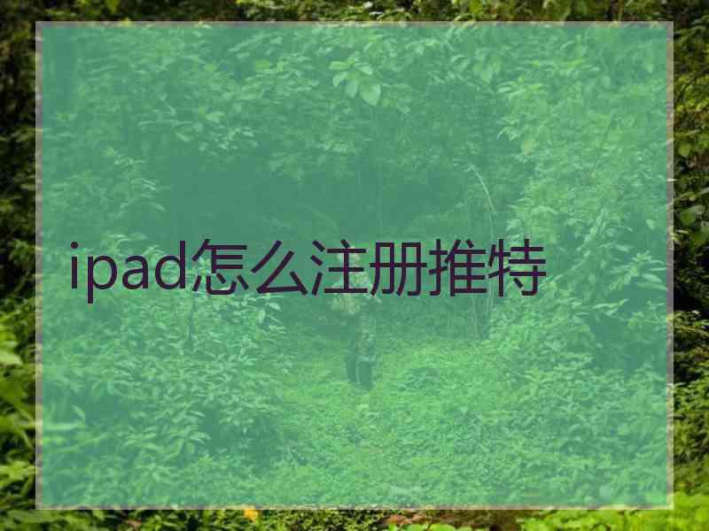 ipad怎么注册推特