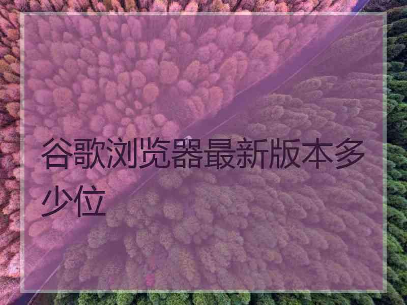 谷歌浏览器最新版本多少位