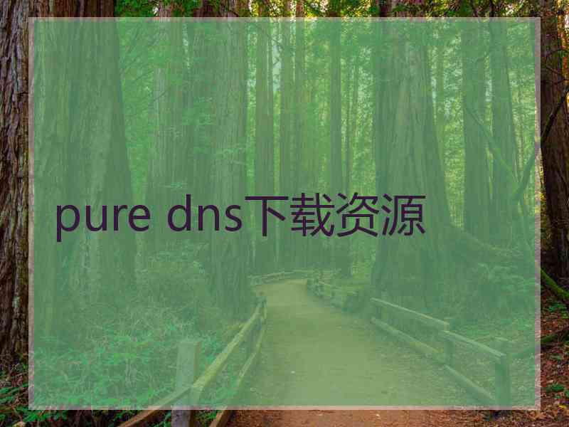 pure dns下载资源