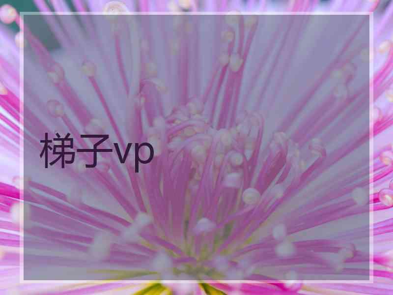 梯子vp