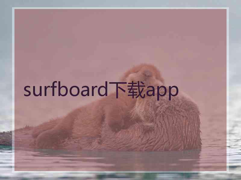 surfboard下载app