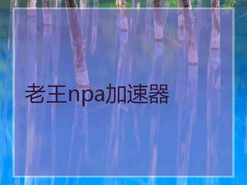 老王npa加速器