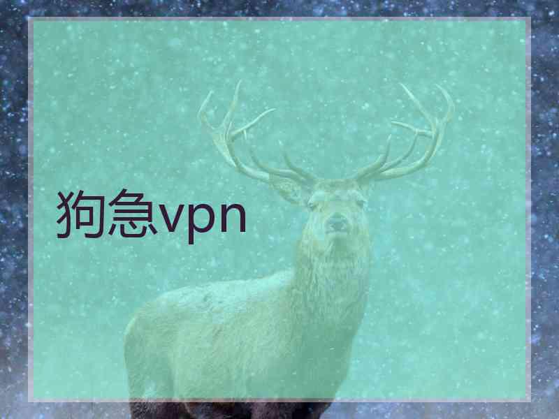 狗急vpn