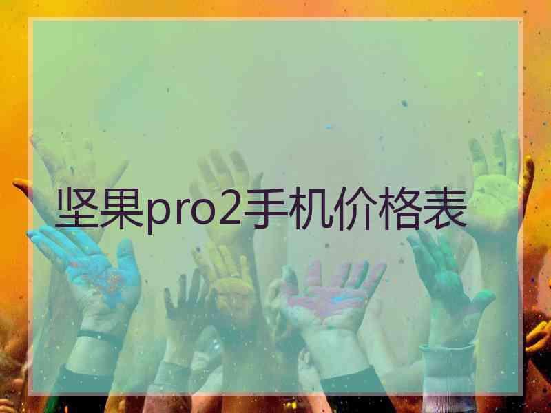 坚果pro2手机价格表