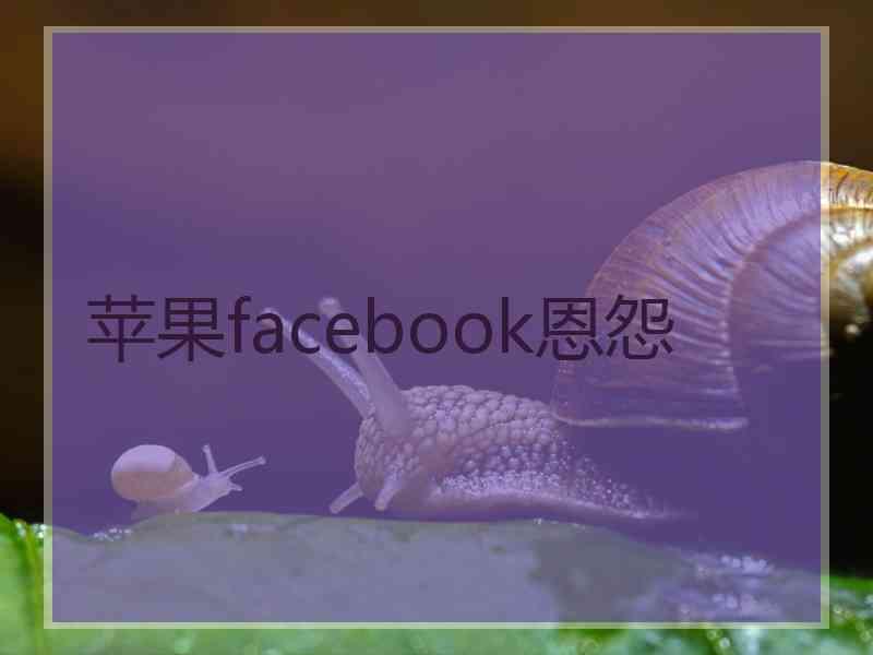 苹果facebook恩怨