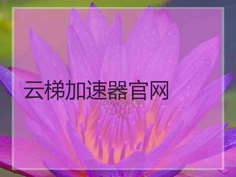 云梯加速器官网