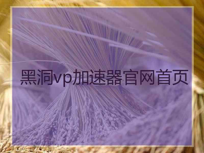 黑洞vp加速器官网首页