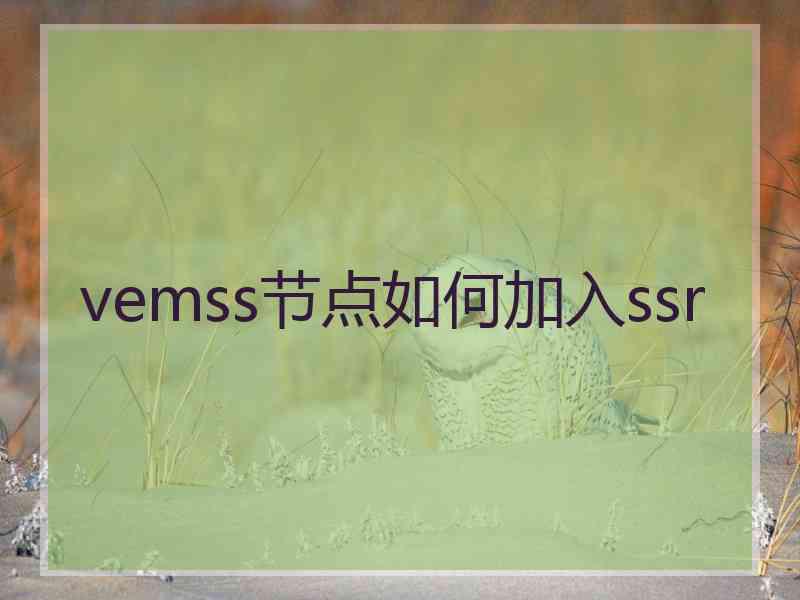 vemss节点如何加入ssr