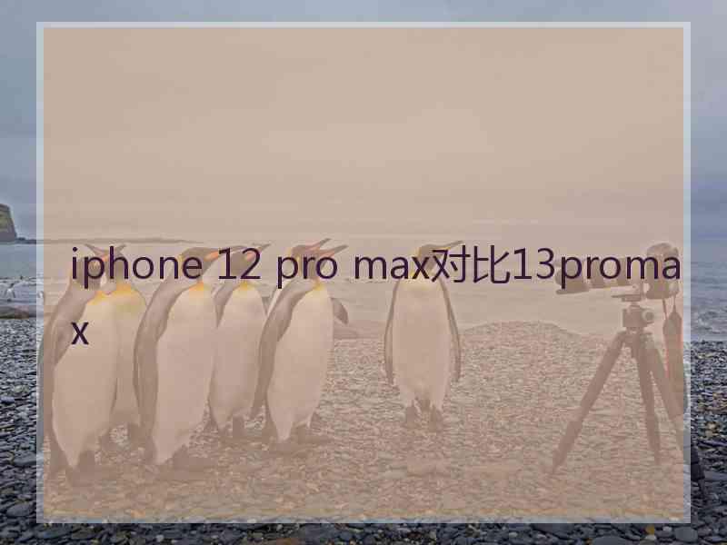 iphone 12 pro max对比13promax