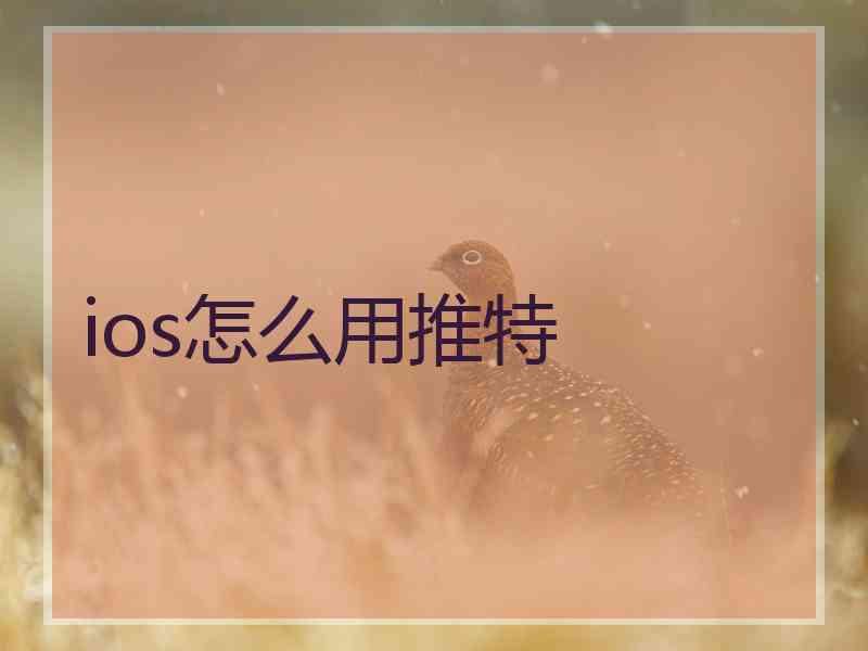 ios怎么用推特