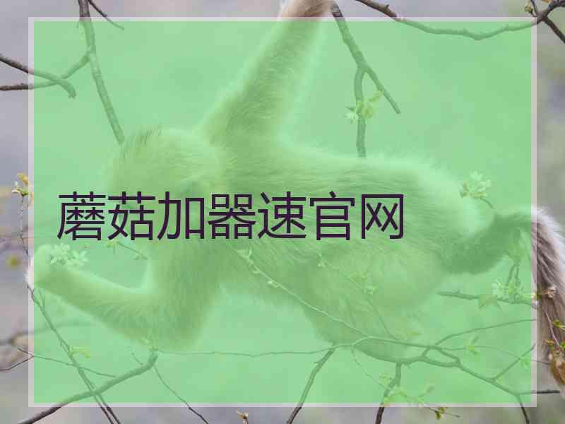 蘑菇加器速官网