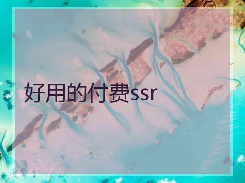 好用的付费ssr