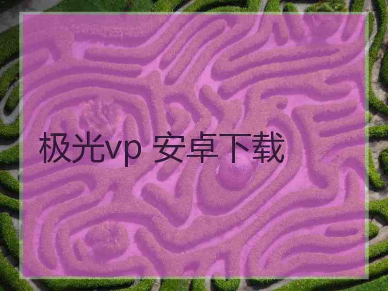 极光vp 安卓下载