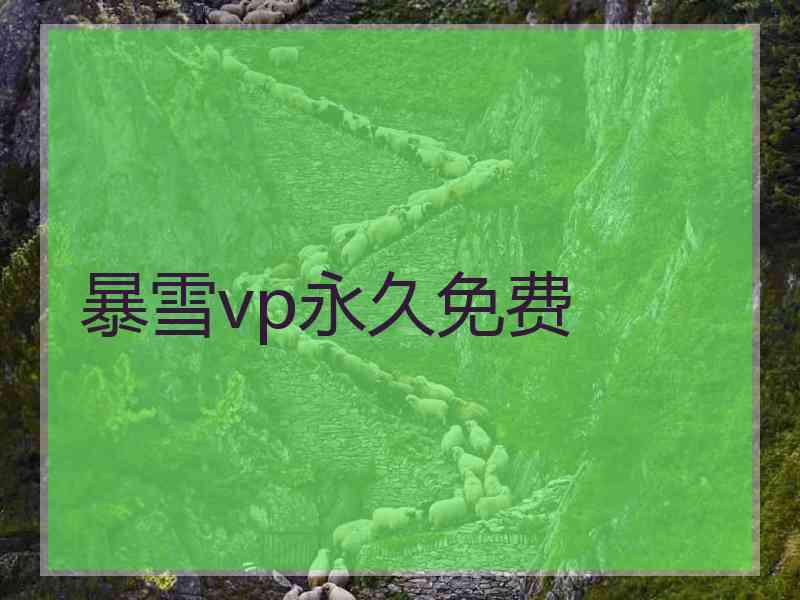 暴雪vp永久免费