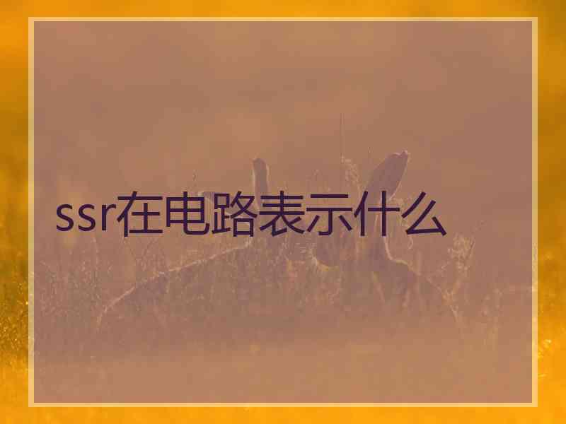 ssr在电路表示什么