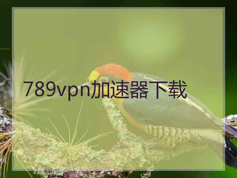 789vpn加速器下载