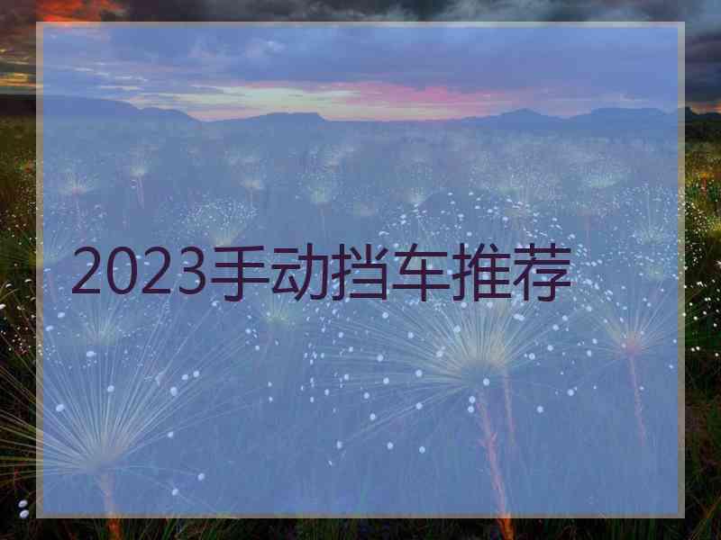 2023手动挡车推荐