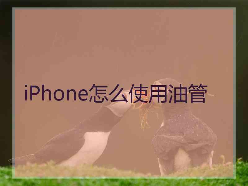 iPhone怎么使用油管