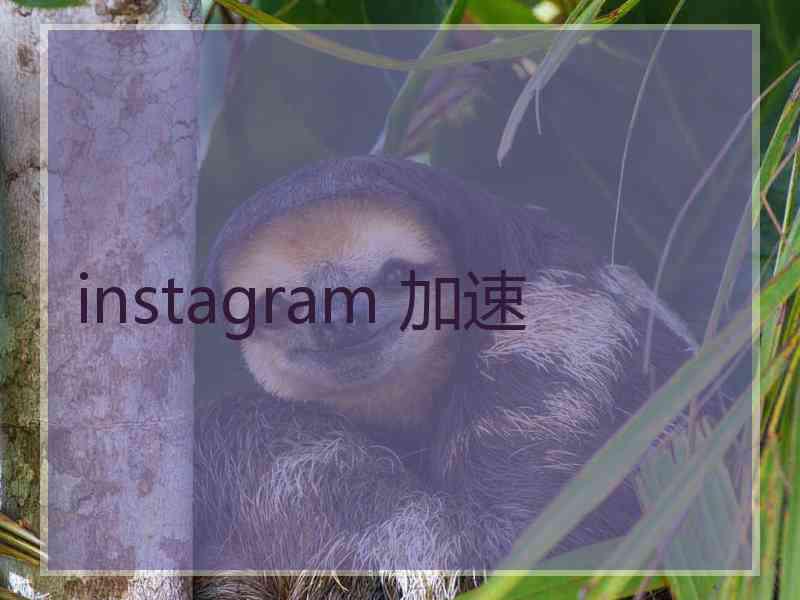 instagram 加速