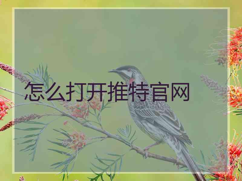 怎么打开推特官网