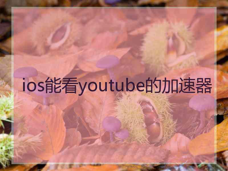 ios能看youtube的加速器