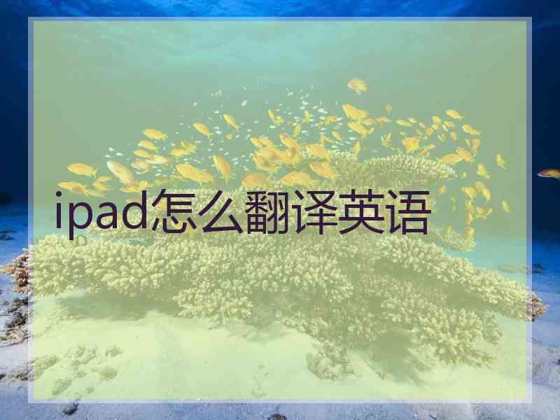 ipad怎么翻译英语