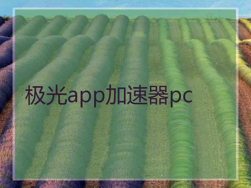 极光app加速器pc