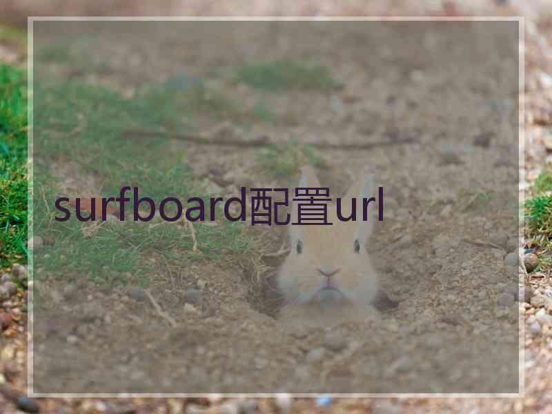 surfboard配置url