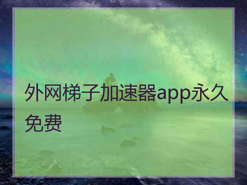 外网梯子加速器app永久免费