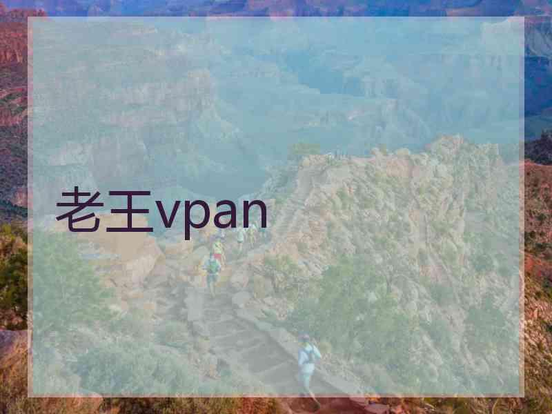 老王vpan