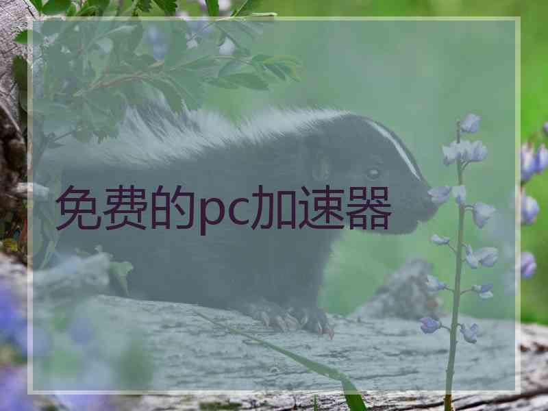 免费的pc加速器