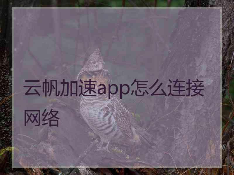 云帆加速app怎么连接网络