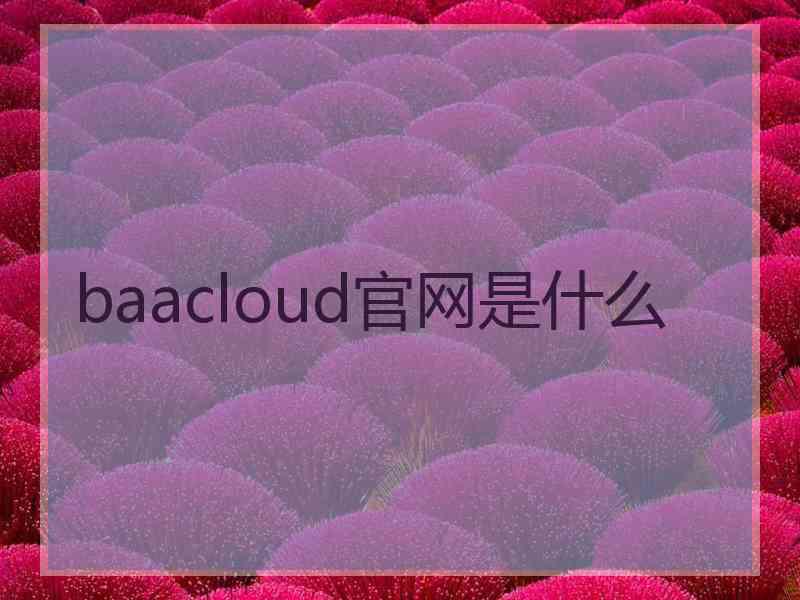 baacloud官网是什么