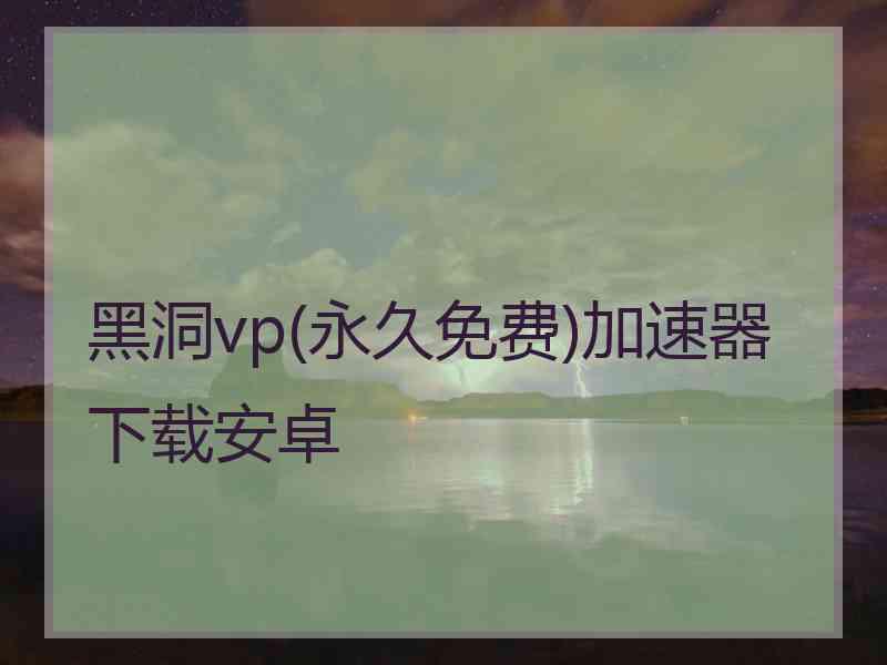 黑洞vp(永久免费)加速器下载安卓