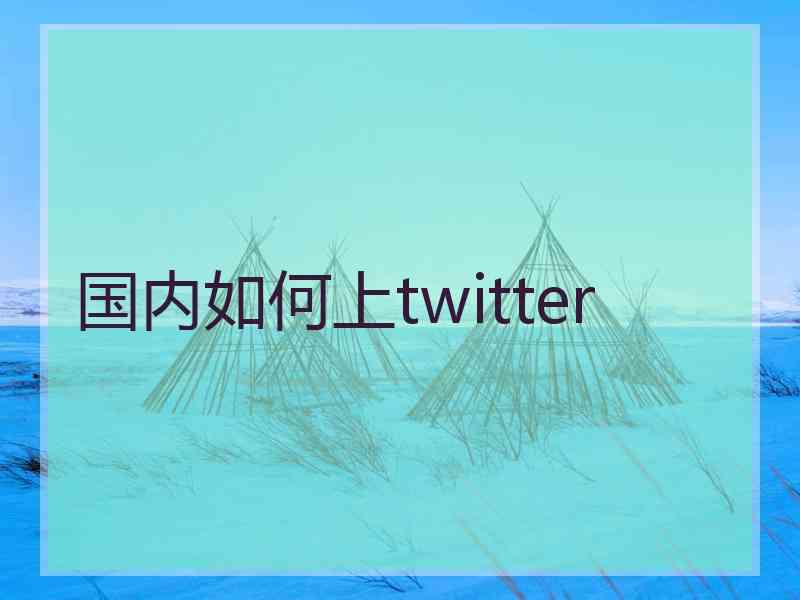 国内如何上twitter