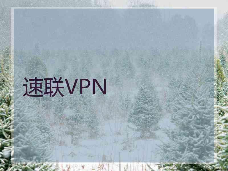 速联VPN