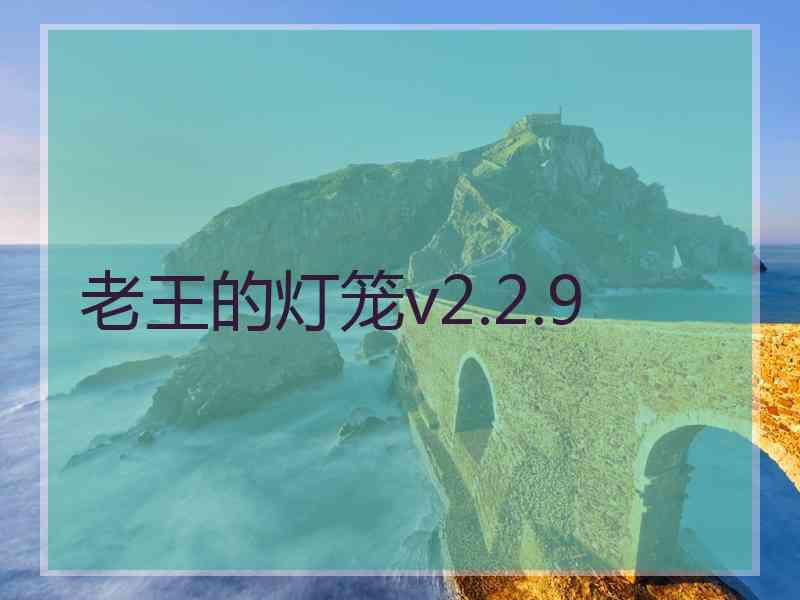 老王的灯笼v2.2.9