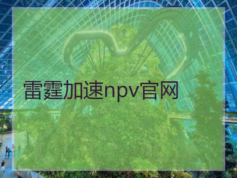 雷霆加速npv官网