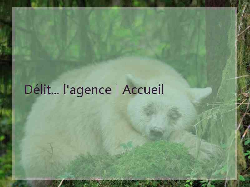 Délit... l'agence | Accueil